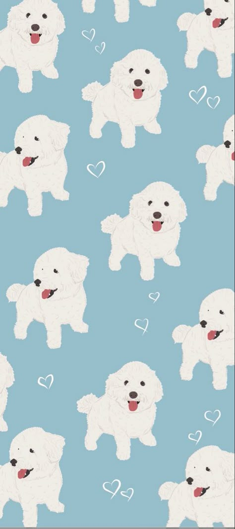 Paw Prints Wallpapers, Bichon Wallpaper, Bichon Frise Wallpaper, Good Lock Screens, Dog Pattern Wallpaper, Poodle Wallpaper, Puppy Backgrounds, Iphone Wallpaper Ideas, Puppy Wallpaper