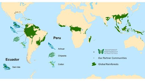 Rainforest Map, Tropical Map, Rainforest Activities, Economic Geography, Earth Map, Rain Forest, Interesting Reads, Tropical Rainforest, Location Map