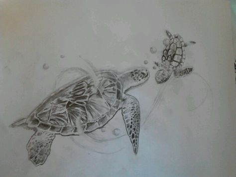 Momma and baby zodiac turtles Mother Turtle Tattoo, Mom And Son Turtle Tattoo, Mom And Daughter Turtle Tattoos, Two Sea Turtles Tattoo, Baby Turtle Tattoo, Turtle Reference, Tattoo Turtle, Sea Turtle Drawing, Sea Turtle Tattoo