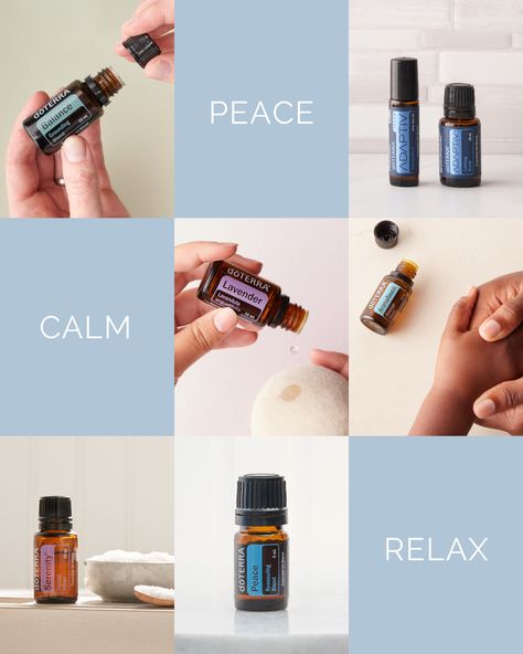 Peace Doterra, Wealthy Lifestyle Luxury, Essential Oils Doterra, Doterra Balance, Calm Environment, Doterra Lavender, Peace And Calm, Doterra Business, Calming Essential Oils