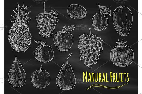 Fruits chalk sketches on blackboard by Vector Tradition SM on @creativemarket Chalk Sketch, Orange Apple, Chalk Art, Design Assets, Kiwi, Pomegranate, Apricot, Creative Market, Chalk