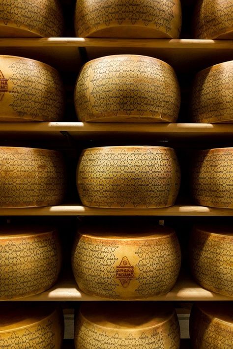 Cheese Restaurant, Grana Padano Cheese, Tuscany Decor, Cheese Display, Tuscany Style, Food Photography Tutorial, Cheese Maker, The Producers, Italian Cheese