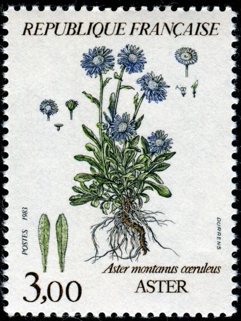 Show Us Your Beautiful Flowers on Stamps! - Stamp Community Forum - Page 16 Vintage Stamps Postage, Cream Tattoo, طوابع بريد, Postage Stamp Design, Postcard Stamps, Postage Stamp Art, Vintage Postage Stamps, Tattoo Cover, Vintage Postage