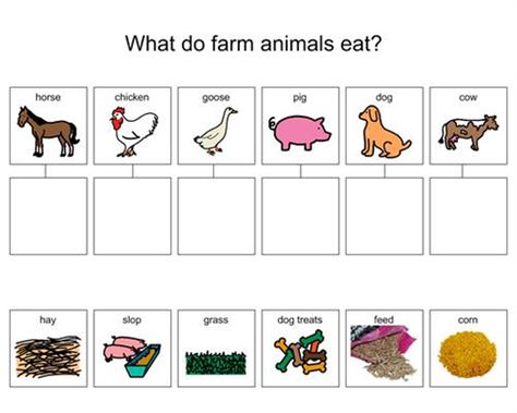 What do Farm Animals Eat? (The Cow Loves Cookies)