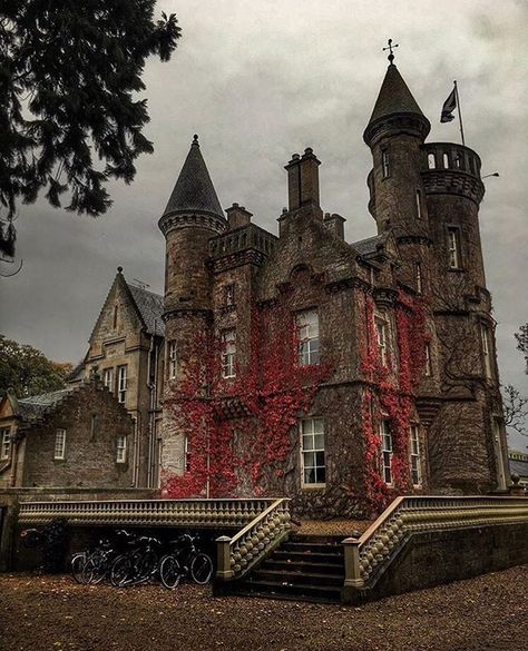 Point Reference, Scotland Autumn, Enchanted Castles, Autumn Travel, Dreamy Places, Castle Scotland, Wine Merchant, Castle Mansion, Castles In Scotland