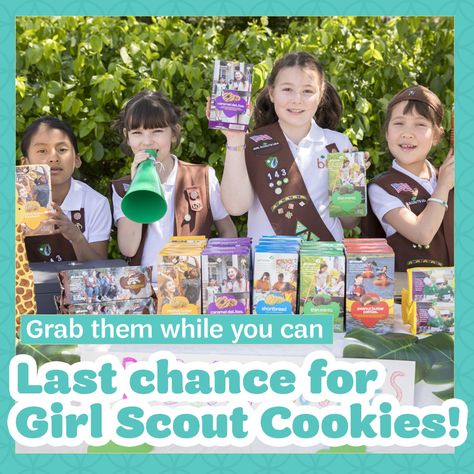 Last call for Girl Scout Cookies! The sweetest season of the year is coming to a close, so it’s time to stock up on your favorite flavors before they are gone! Find a booth near you: Girl Scout Junior Cookie Badges, Girl Scout Cookies, Seasons Of The Year, Girl Scout, Last Call, Girl Scouts, Mobile App, A Girl, The Year