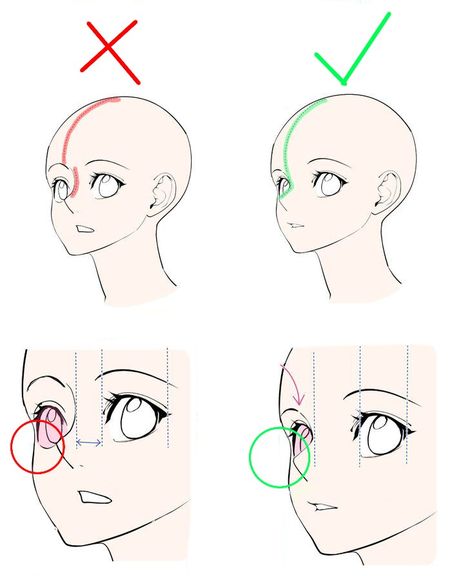 Anime Base Head Pose, Highlight Areas On Face, Hydrangea Art Wallpaper, How To Draw A Head From The Side, Head Tutorial Drawing Digital, Person Holding Orb Reference, How To Draw Someone Looking Down, Someone Crouching Reference, Casual Standing Pose Reference Drawing