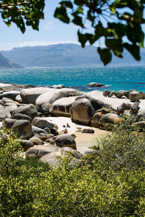 Boulders Beach in South Africa Madagascar Cake, Cape Town Itinerary, Cape Town Travel, Town Planning, Sea Point, Boulder Beach, Penguins Of Madagascar, South Africa Travel, Cape Town South Africa