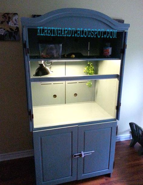 Armoire Bearded Dragon Cage - petdiys.com Diy Bearded Dragon Enclosure, Lizard Cage, Terrariums Diy, Diy Reptile, Bearded Dragon Diy, Bearded Dragon Terrarium, Bearded Dragon Enclosure, Bearded Dragon Cage, Snake Enclosure