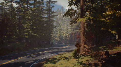 Life Is Strange 2, Arcadia Bay, Life Is Strange 3, Strange Photos, Life Is Strange, Environment Concept Art, Weird World, Great Friends, Sky Aesthetic