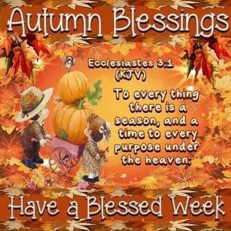 Have A Blessed Week, Autumn Blessings, Blessed Week, Monday Blessings, Fall Images, Sunday Quotes, Blessed Quotes, Autumn Quotes, Prayers For Healing