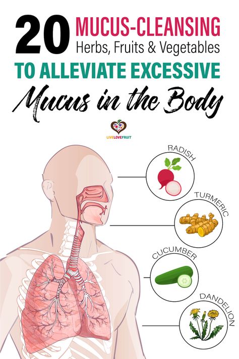 Mucus In Throat, Getting Rid Of Mucus, Mucus Relief, Cleansing Herbs, Getting Rid Of Phlegm, Lung Cleanse, Best Cough Remedy, Lung Detox, Healthy Lungs