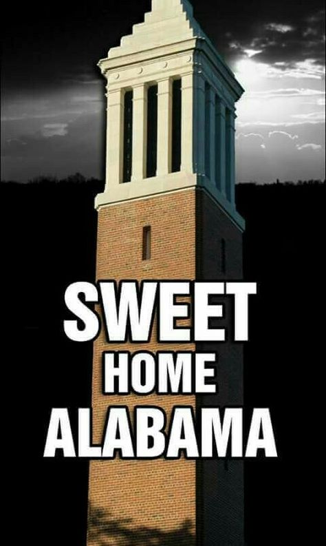 Rammer Jammer Yellow Hammer, Bear Bryant, Rammer Jammer, Alabama Football Roll Tide, Bama Girl, Lets Roll, The University Of Alabama, Alabama Crimson Tide Football, Bama Football