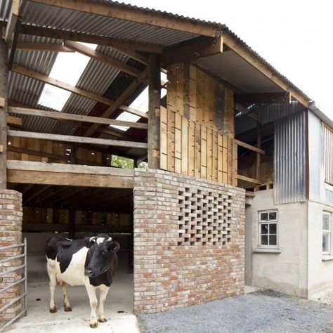 Cowshed Farm Design, Agritourism Architecture, Farm School Architecture, Cow Farming Design, Rural School Architecture, Agriculture Institute Architecture, Kilkenny Ireland, Images Of Ireland, Shelter Design