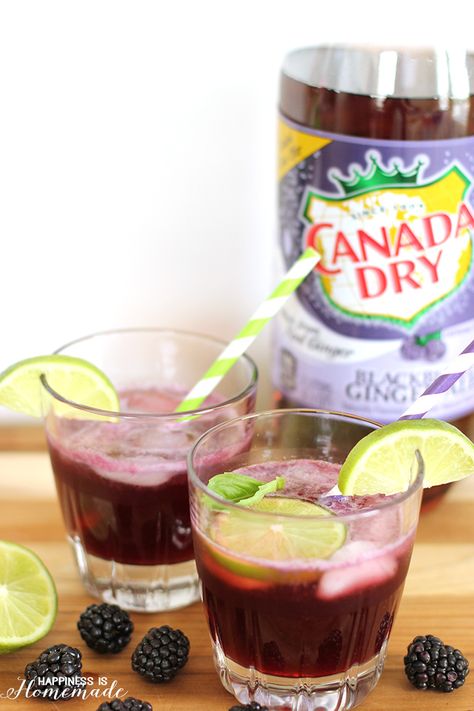 Blackberry Lime Cocktail Recipe with Canada Dry Blackberry Gingerale Blackberry Ginger Ale Cocktails, Lime Cocktail Recipes, Ginger Ale Cocktail, Ginger Ale Recipe, Fizz Cocktail, Blackberry Recipes, Mix Drinks, Happy Drink, Happiness Is Homemade