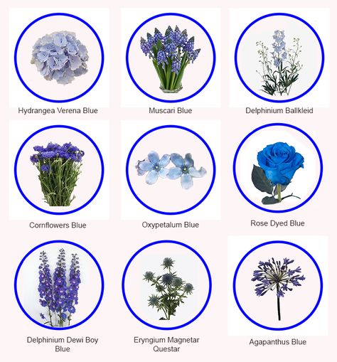 Blue Flower Types, Blue Flowers Name, Blue Flower, Blue Flower Names, Pretty Flower Names, Types Of Blue Flowers, Purple Colour Flowers, Tiny Garden Ideas, Leaf Art Diy