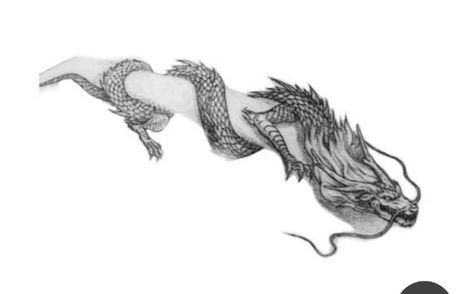 Dragon Sketch Tattoo, Dragon Hand Tattoo, Back Tattoos For Guys Upper, Collar Bone Tattoo For Men, Dragon Tattoos For Men, Dragon Hand, Small Dragon Tattoos, Dragon Tattoo Art, Snake Drawing