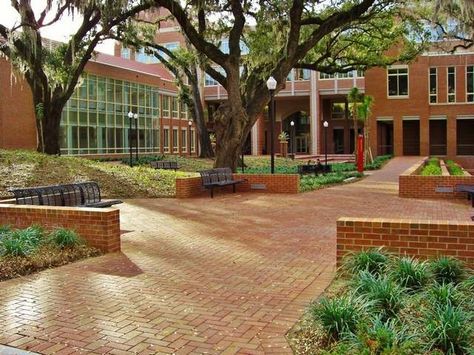 Rehab School Building Design, Campus Design, Fsu Seminoles, Building Aesthetic, Dry Land, School Campus, Dream School, Buy A Home, School Yard