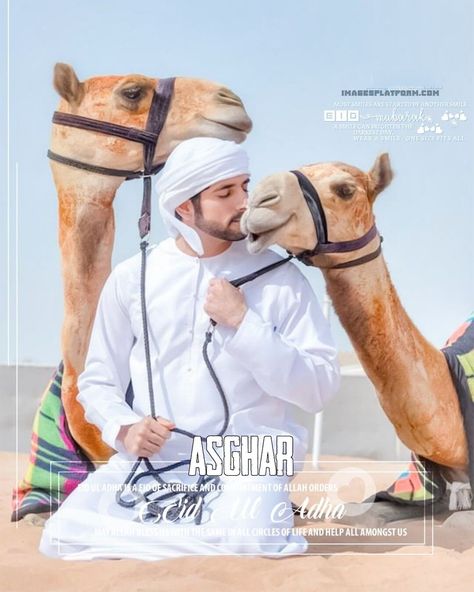 asghar name dp, asghar name wallpaper, Eid Ul Adha dp maker for boys, download camel dp with name, camel wallpaper of Sheikh Hamdan Eid Ul Adha Dp, Eid Mubarak Pic, Eid Wallpaper, Bakra Eid, Husband And Wife Love, Royal Family Pictures, Sheikh Hamdan, Queen Photos, Eid Ul Adha