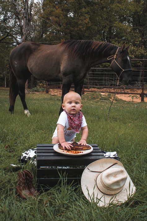 Steak Cake Smash, Rodeo Themed 1st Birthday Photoshoot, Western One Year Old Pictures, Western Birthday Pictures, Steak Smash Photoshoot, Steak Smash First Birthday, One Year Old Photoshoot Boy, Steak Smash, Cow Hyde