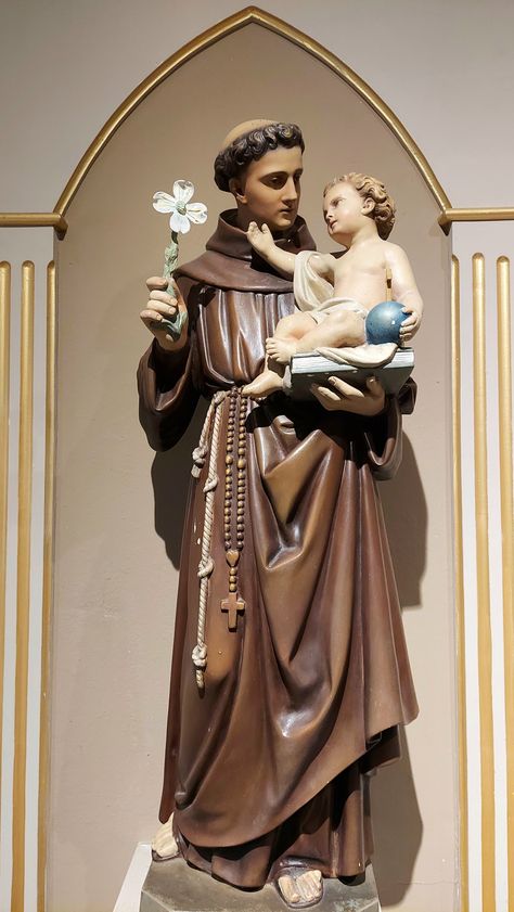 St Anthony Of Padua Wallpaper, St Antony Images, St Antony Images Hd, Saint Antonio, Jesus Christ Tattoo, Saint Antony, St Joseph Statue, St Anthony Of Padua, Happy Feast