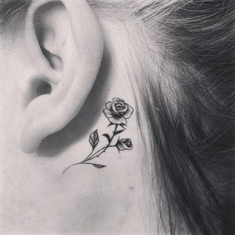 Rose Tattoo Behind Ear, Tattoo Behind Ear, The Ear, Rose Tattoo, A Flower, Flower Tattoo, Tattoos, White, Black