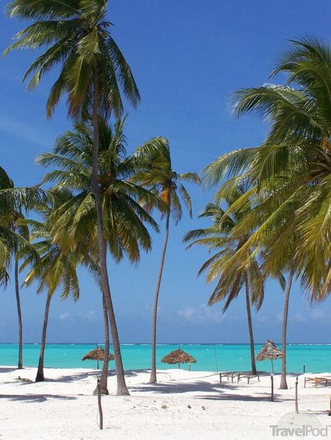 Amazing ocean views from Kinazi Upepo Beach Resort, Paje, Zanzibar #TravelAfrica #Zanzibar Paje Zanzibar, Bright Young Things, Aesthetic Coconut, Stone Town, European City, Island Destinations, Tourism Industry, Animal Activities, Desert Island