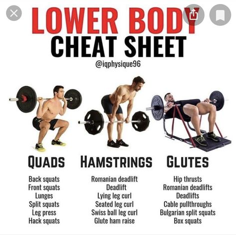 Quads And Hamstrings Workout Gym, Best Hamstring Exercises, Glutes Exercises, Teen Workout Plan, Glute Workout Gym, Leg Workouts Gym, Workout Gym Routine, Quads And Hamstrings, Workout Program Gym