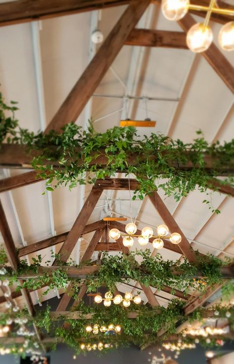 Smilax on beams How To Decorate Beams For A Wedding, Greenery In Rafters Wedding, Beam Decoration Ideas Wedding, Garland On Beams, Greenery On Beams Wedding, Rafter Decorations Wedding, Wedding Beam Decoration, Garage Wedding Reception Decor, Smilax Wedding