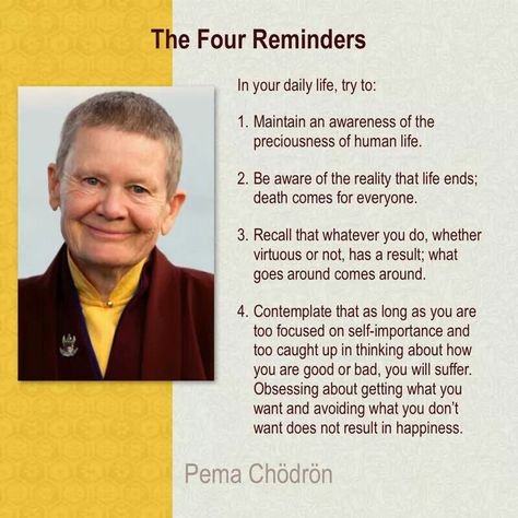 The four reminders Pema Chodron Quotes, Pema Chodron, Buddhist Wisdom, Little Buddha, Buddhist Quotes, Mindfulness Meditation, Note To Self, Wisdom Quotes, Spiritual Quotes