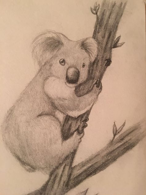 Koala Drawing Sketches, Koala Drawing, Cats Art Drawing, Art Inspiration Drawing, Koala, Cat Art, Crayon, Cute Drawings, Doodles