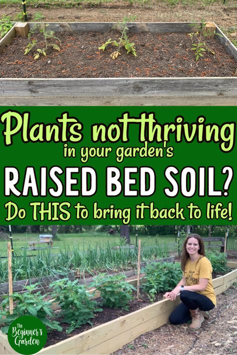 Easy Raised Garden Beds, Raised Bed Garden Ideas, Raised Garden Bed Soil, Raised Container Garden, Melissa K Norris, Garden Prep, Backyard Raised Garden, Raised Bed Gardens, Raised Garden Beds Diy Vegetables