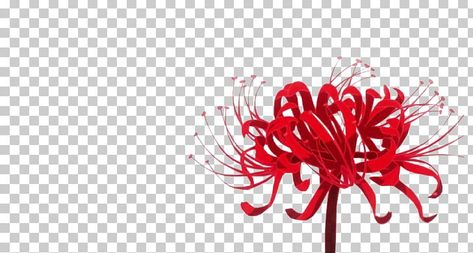 Tokyo Ghoul Flower, Rat Png, Tokyo Ghoul Drawing, Lilies Drawing, Red Spider Lily, Human Body Drawing, Spider Lily, Tokyo Ghoul Wallpapers, Red Spider