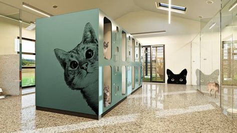 Animal Shelter Decor, Cat Hotel Ideas, Kitchen Design Space Saving, Pet Hotel Design, Urban Kitchen Design, Animal Shelter Design, Cat Play Area, Cat Room Decor, Pet Store Design