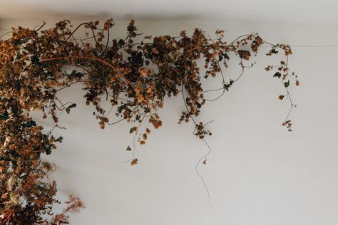 Autumn Floral Installation, Dried Floral Display, Autumn Backdrop Ideas, Shop Merchandising, Winter Editorial, Cafe Space, Foliage Arrangements, Eid Ideas, Dried Arrangements