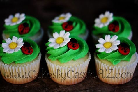 Ladybird Cupcakes, Bug Cupcakes, Ladybug Cakes, Ladybug Cupcakes, Bug Cake, Ladybug Cake, Ladybug Baby Shower, Cake Pulls, Snowman Cupcakes