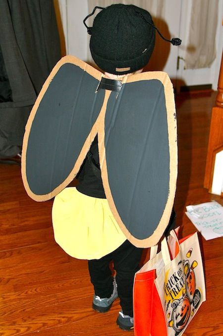 DIY Homemade Firefly Lightening Bug Costume for Halloween - back view Lightning Bug Costume, Fly Costume, Firefly Costume, Day After Halloween, Bug Costume, Halloween Costumes Kids Boys, Beast Costume, Lightning Bug, Costume For Halloween