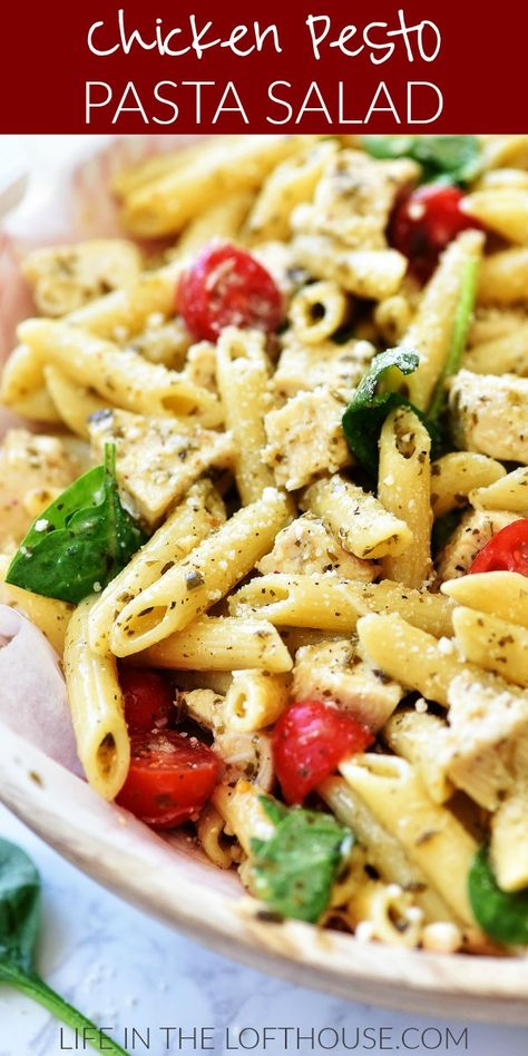 Cold Pasta Salad With Chicken, Cold Chicken Pesto Pasta Salad, Easy Pesto Pasta Salad Recipes, Pasta Salad Low Carb, Easy Chicken Pasta Salad, Cold Chicken Pasta, Pesto Chicken Pasta Salad, Pasta Salad Recipes With Chicken, Cold Chicken Pasta Salad Recipes