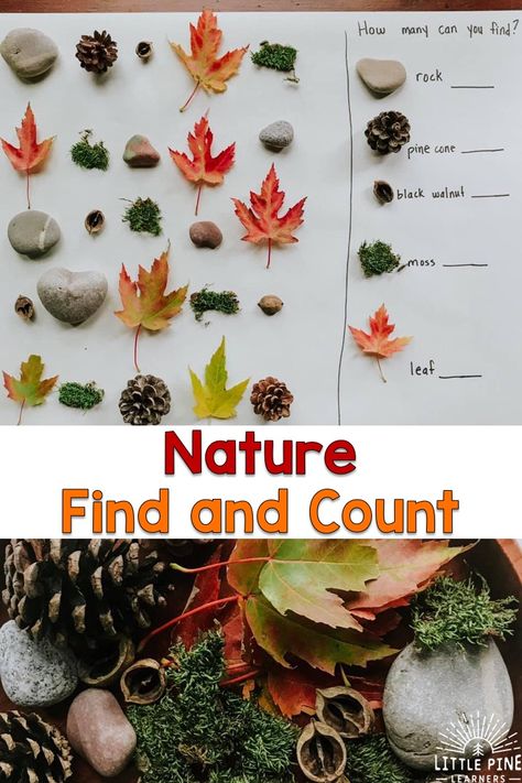 Nature Find and Count Math Activity • Little Pine Learners Outdoor Learning Activities, Forest School Activities, Math Activities For Kids, Tree Study, Nature Projects, Nature School, Outdoor Education, Autumn Activities For Kids, Fall Preschool