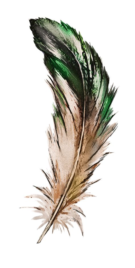 Feathers Drawing, Loose Watercolor Paintings, Crazy Tattoos, Feather Drawing, Cement Art, Watercolor Feather, Spine Tattoos For Women, Weird Tattoos, Loose Watercolor