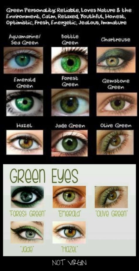 Shades Of Green Eyes, Emerald Green Eyes, Collar Verde, Eye Facts, Beautiful Eyes Color, Color Eyes, Eyes Color, Eye Chart, Green Eye