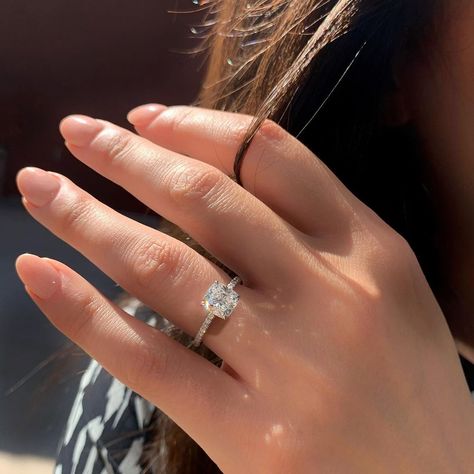 Michael Alan Jewelers on Instagram: “Look at that fire! 🔥✨” Hidden Halo Engagement Ring, Cushion Cut Moissanite, Moissanite Engagement Ring Solitaire, Types Of Diamonds, Hidden Halo, 14k Gold Ring, Designer Engagement Rings, Halo Engagement Ring, Halo Engagement