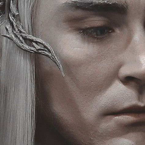 Thandruil And Legolas, Thranduil Icon, Thranduil Aesthetic, The Hobbit Characters, The Hobbit Thranduil, King Thranduil, Lee Pace Thranduil, Elf King, Tolkien Elves