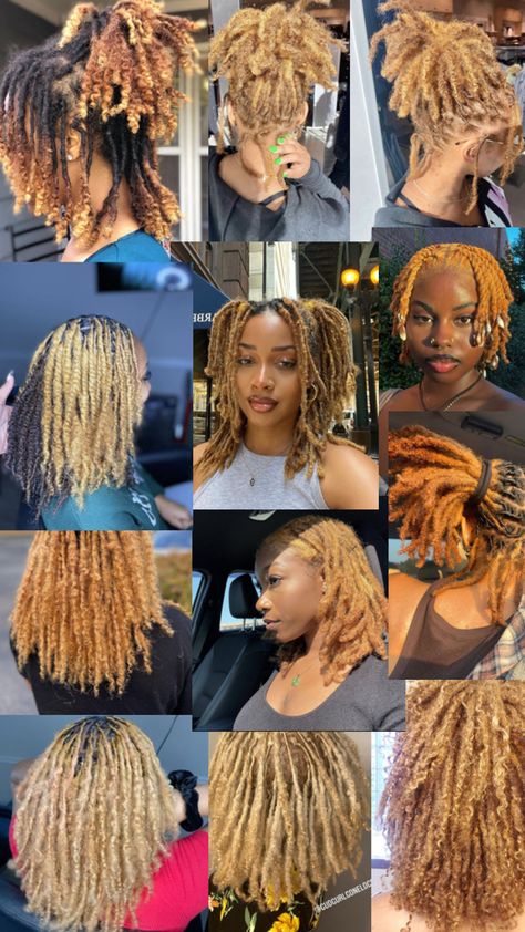 Locs style and color inspiration Light Brown Hair Locs, Blonde Locs Black Women Dark Skin, Honey Blonde Micro Locs, Fall Loc Colors, Honey Brown Locs Black Women, Ash Blonde Locs, Honey Blonde Locs Black Women, Hair Dye Inspo Aesthetic, Honey Brown Locs