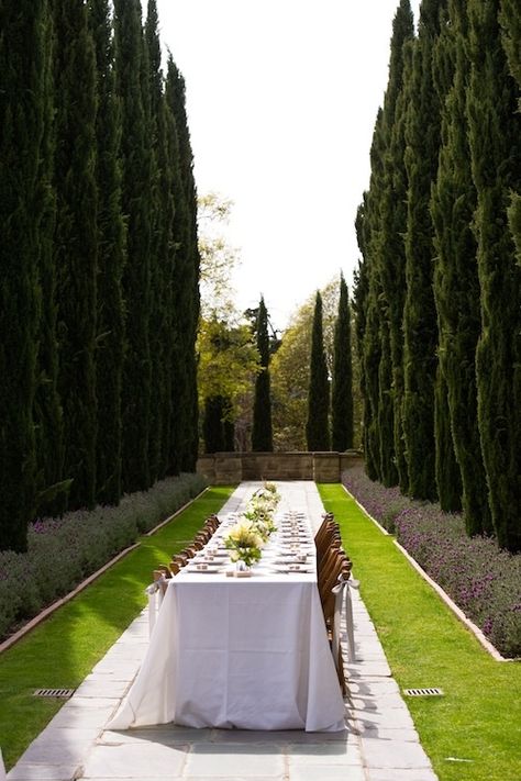 Italian cypress hedges  | Fresh & Fab Outdoor Pad Italian Cypress, Italian Garden, Cypress Trees, Long Table, Vintage Rentals, Outdoor Dining Area, Outdoor Party, Outdoor Rooms, Beautiful Space