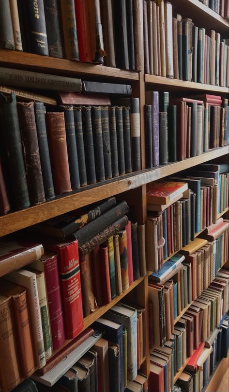 Old School Library Aesthetic, Library Employee Aesthetic, School Library Aesthetic, Books Library Aesthetic, Old Library Aesthetic, Old Bookstore, Addie Larue, Library Study, Old Libraries