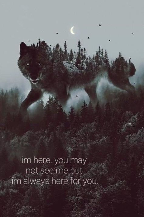 Wallpaper With Quotes, Wolf Goddess, Dreamer Quotes, American Indian Quotes, Mythical Creature Art, Lone Wolf Quotes, Calendar Quotes, Wolf Howling At The Moon, Mystical Wolf