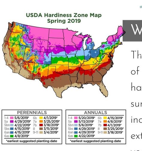 Landscaping for Beginners | It has came to my attention that a lot of folks do not know what planting zones they are in so I screenshot a map of the basic zones | Facebook Landscaping For Beginners, Planting Zones Map, Planting Zones, Backyard Garden, Planting, Perennials, Landscaping, California, Map