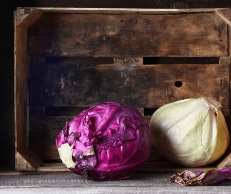 How to Store Cabbage the Right Way So It Lasts Longer - Dried Foodie Can Cabbage Be Frozen, Preserve Cabbage, Ways To Preserve Cabbage, How To Store Cabbage, How To Harvest Cabbage, How To Store Cabbage Long Term, Purple Cabbage, Red Cabbage, Cabbage Recipes