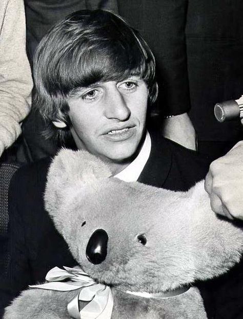 Ringo Starr + toy koala with huge ears & nose. Both wearing it well. #BeatlesnBears Happy Birthday Elvis, Ringo Star, Richard Starkey, Mary Louise Parker, Beatles Ringo, Personajes Studio Ghibli, Bug Boy, Magical Book, Mr Bean